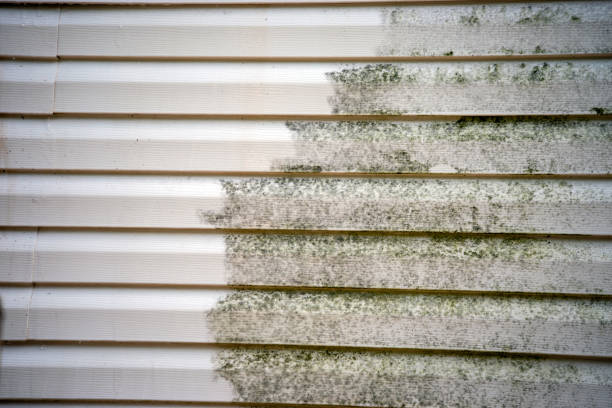Best Shed Removal  in Navarre, FL